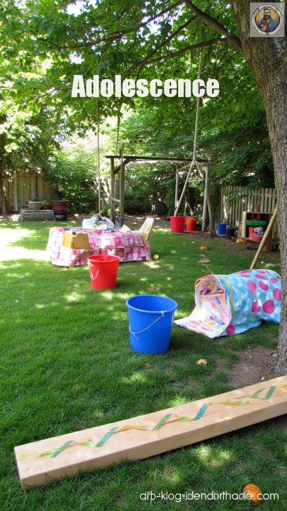 backyard adventure obstacle course