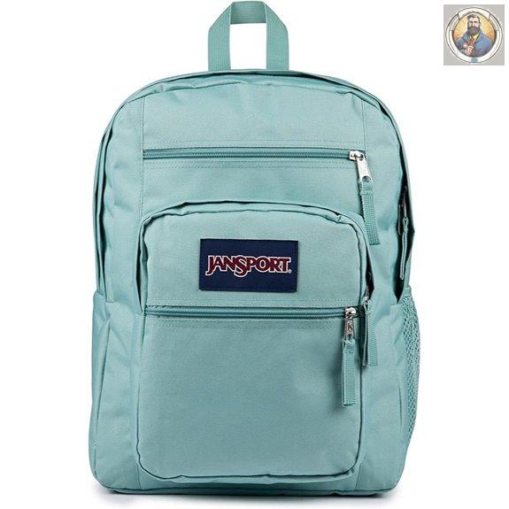 JanSport Faded Sage Laptop Backpack with 2 Compartments